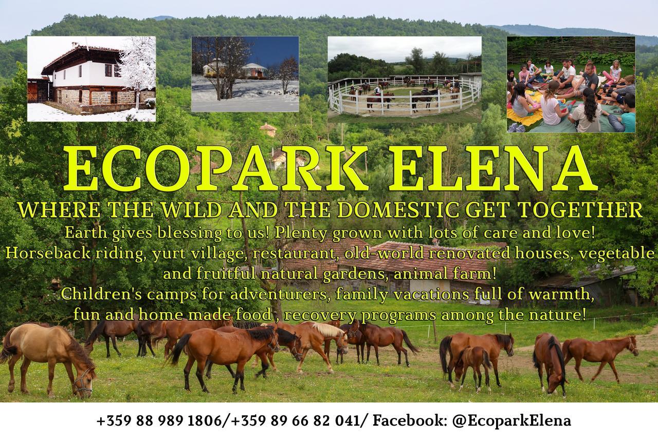 Ecopark Elena Hotel Esterno foto