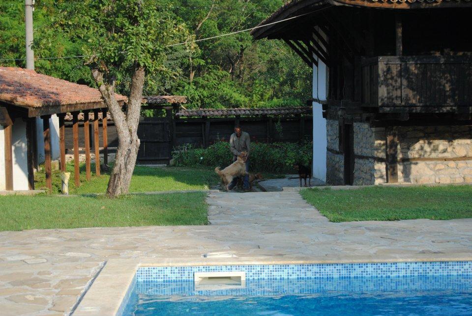 Ecopark Elena Hotel Esterno foto