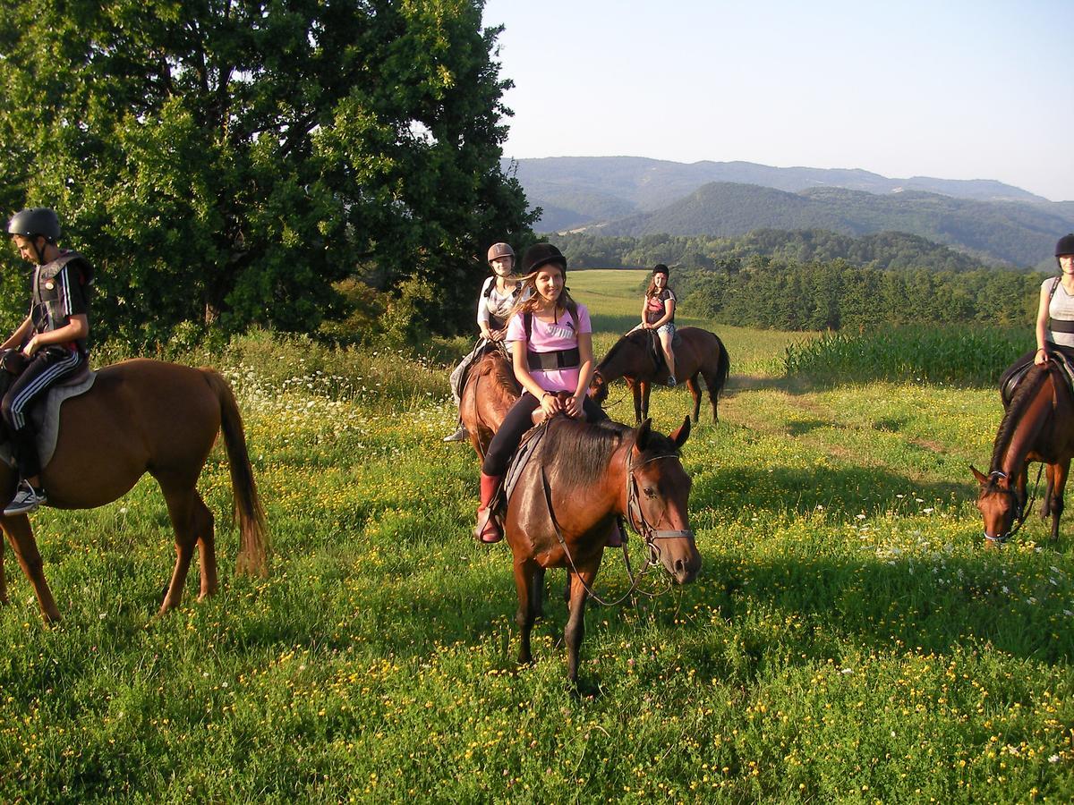 Ecopark Elena Hotel Esterno foto