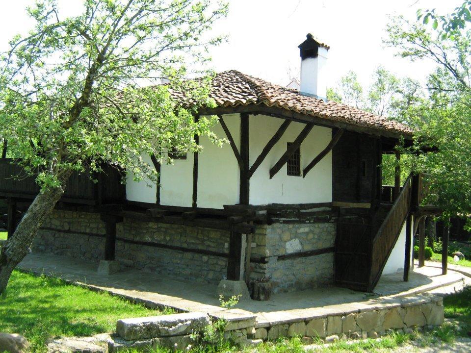 Ecopark Elena Hotel Esterno foto