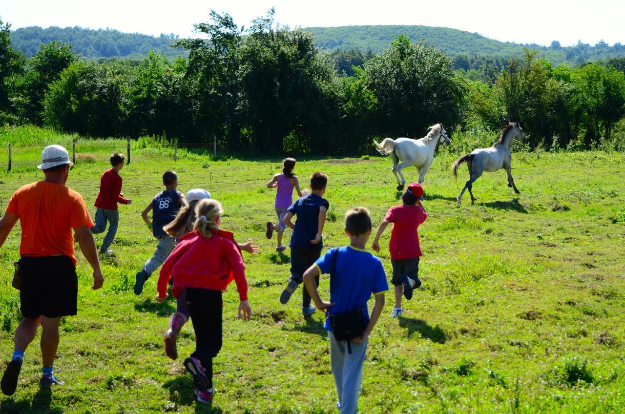 Ecopark Elena Hotel Esterno foto