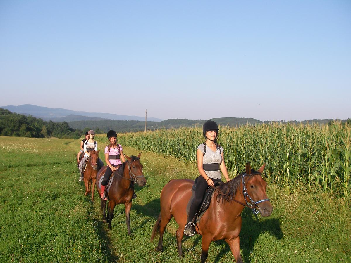 Ecopark Elena Hotel Esterno foto