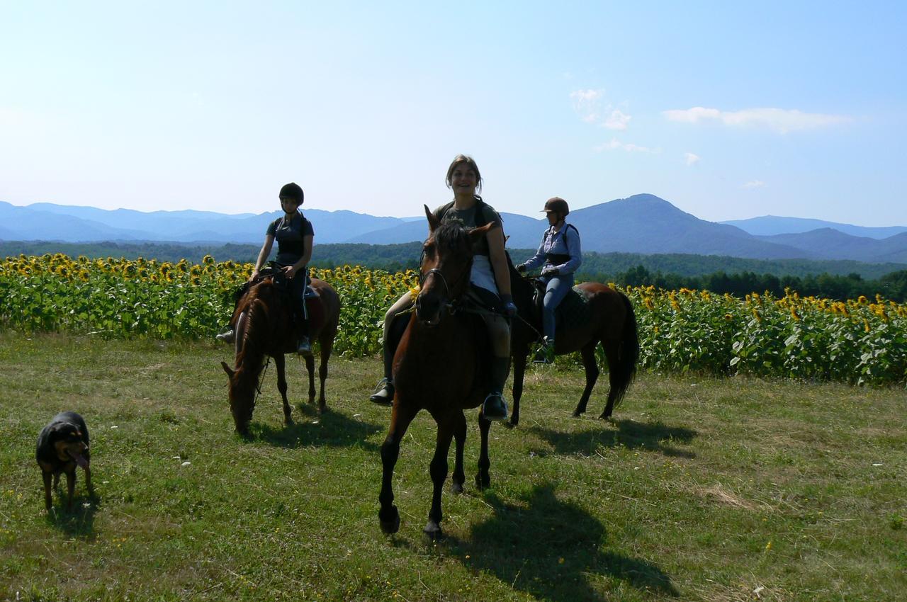 Ecopark Elena Hotel Esterno foto